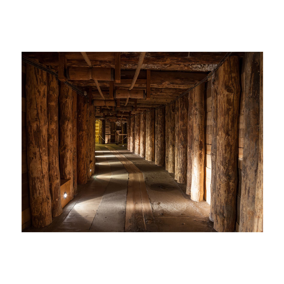 Wooden passage 300x231 Storlek: 300x231 cm