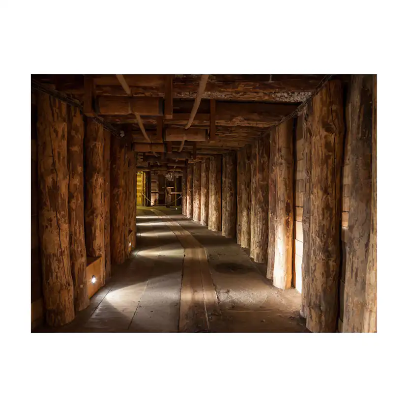 Wooden passage 300x231 Storlek: 300x231 cm
