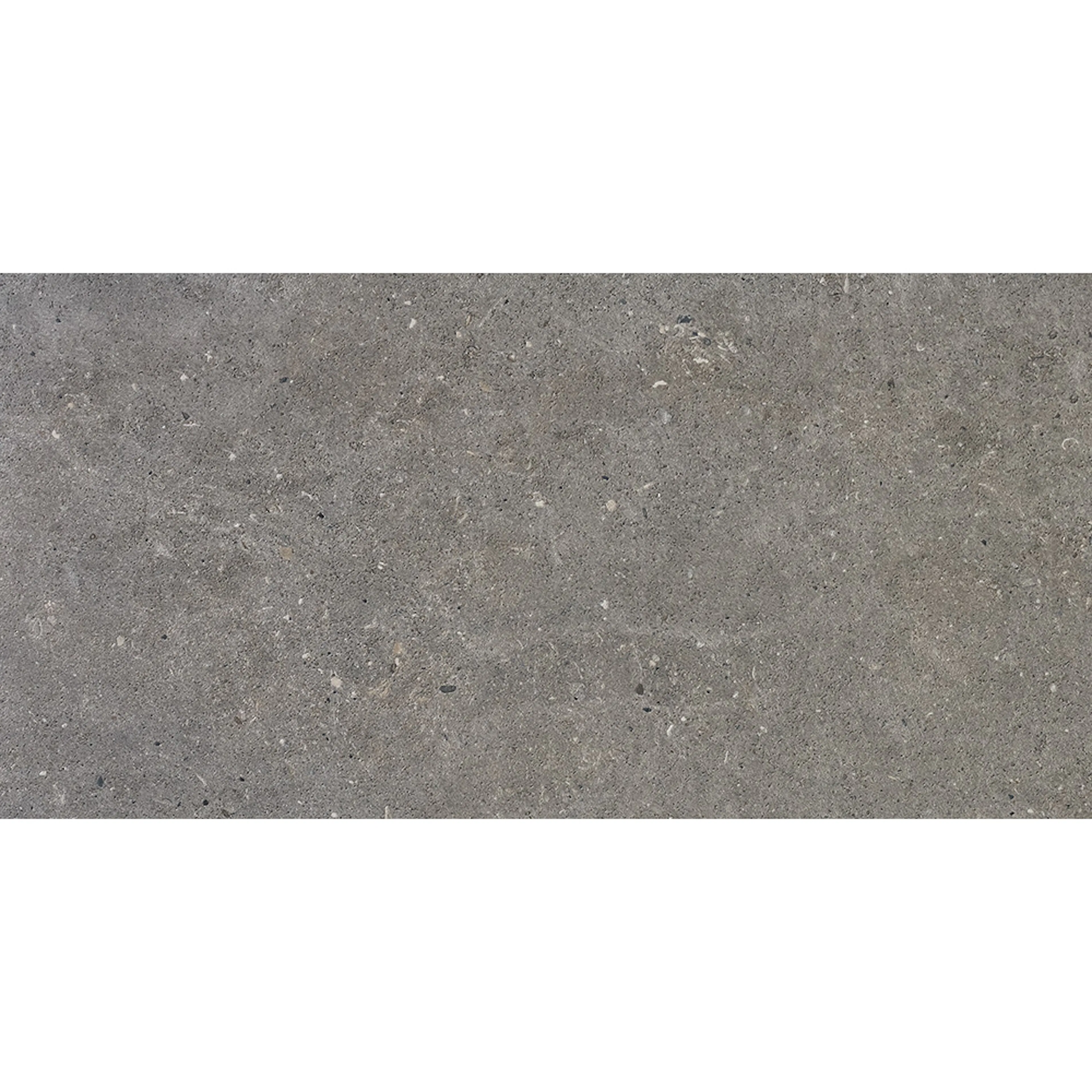 Klinker Bricmate J36 J Stone Select Grey 30x60 cm