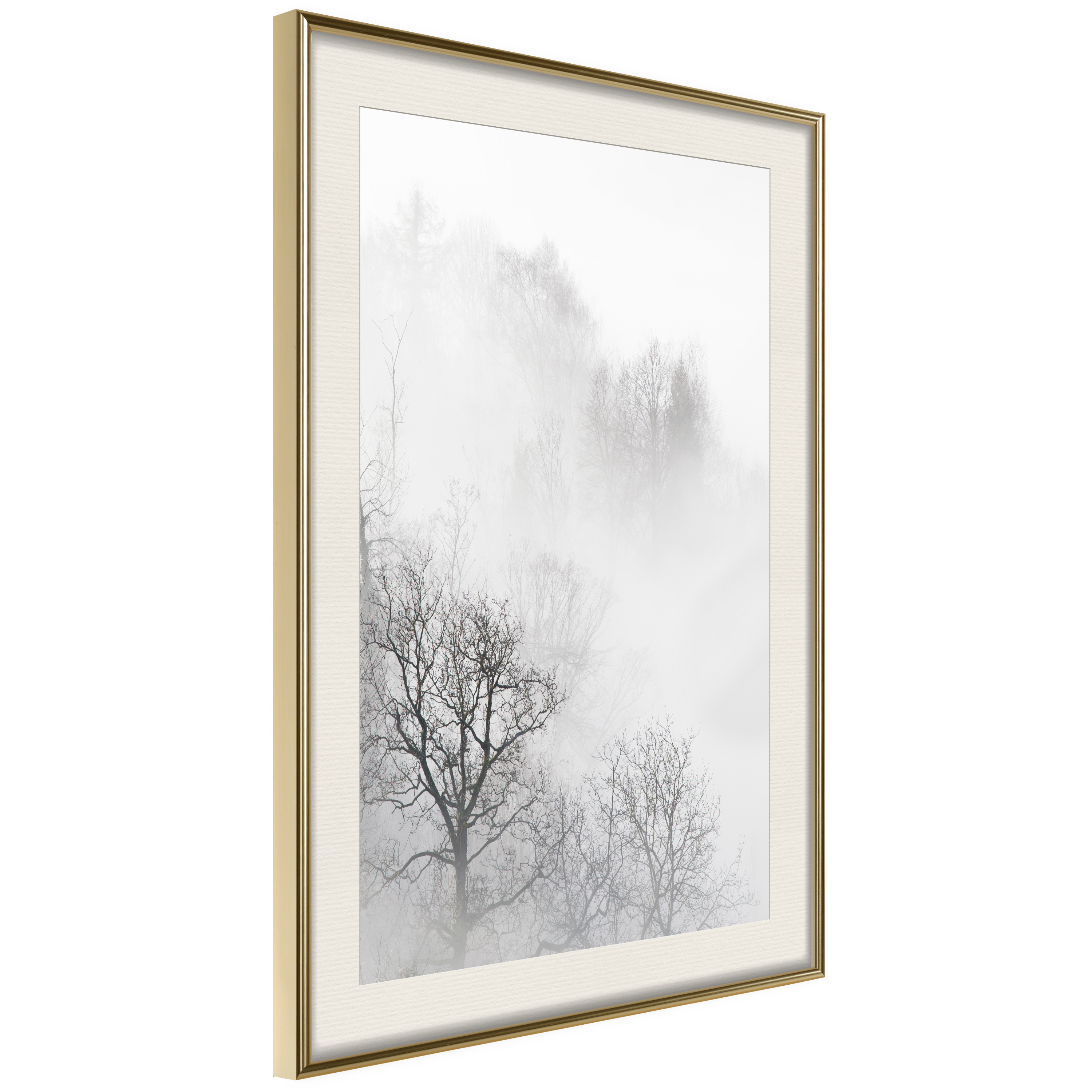 Affisch - Trees In The Fog [Poster] 30x45 Guld ram med passepartout, 30x45 cm