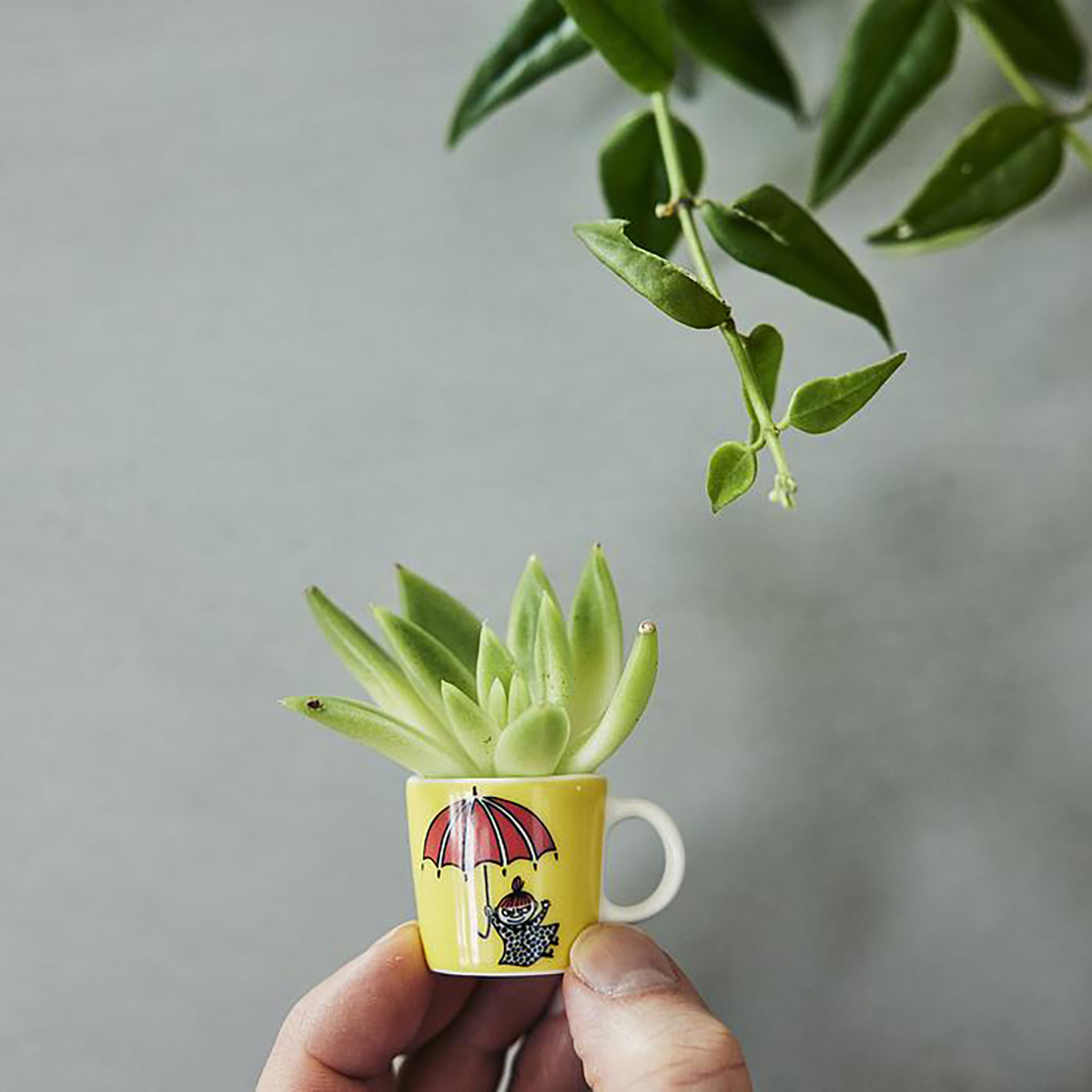 Mini-mugg Arabia Mumin Klassiker 6-pack