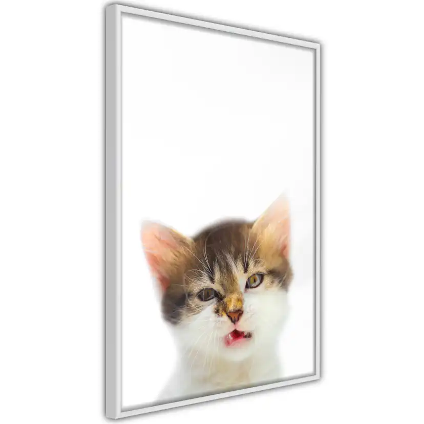Poster Artgeist Affisch Vexed Cat