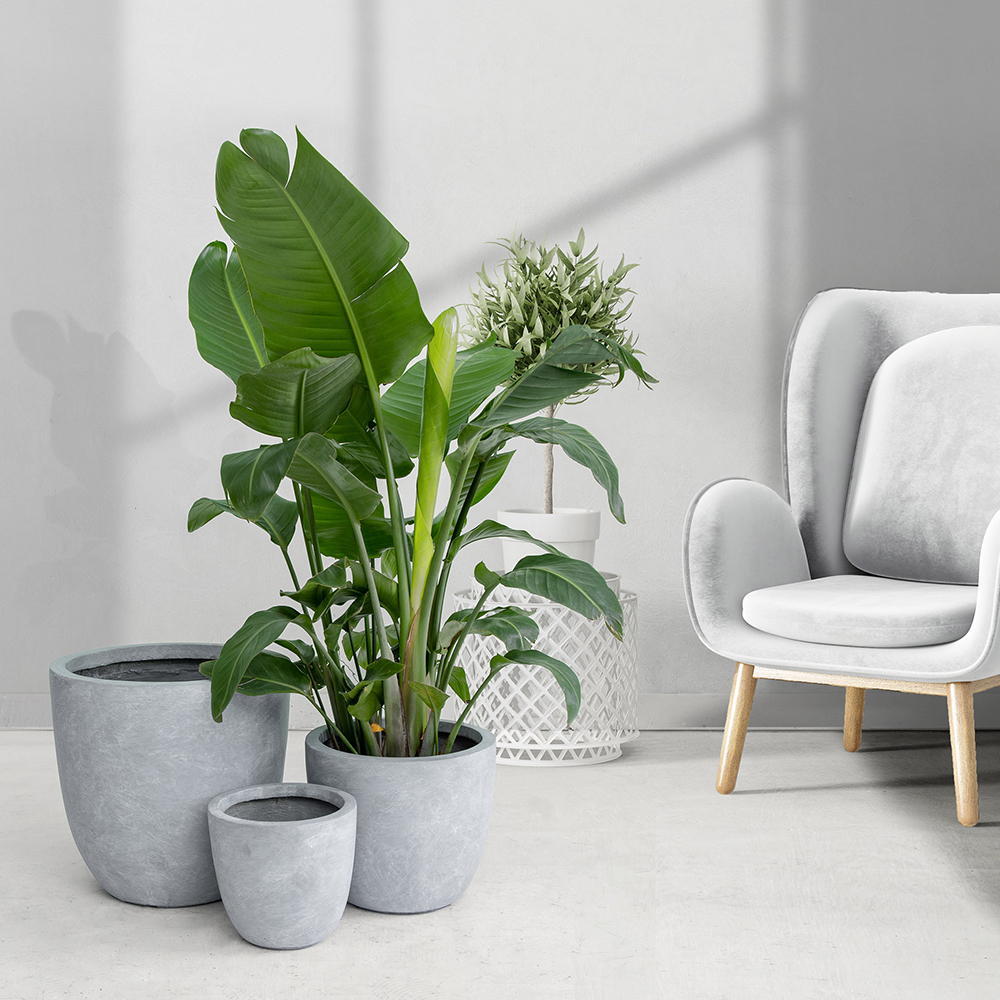 Kruka Lyfco Rund Ljusgrå 3-pack