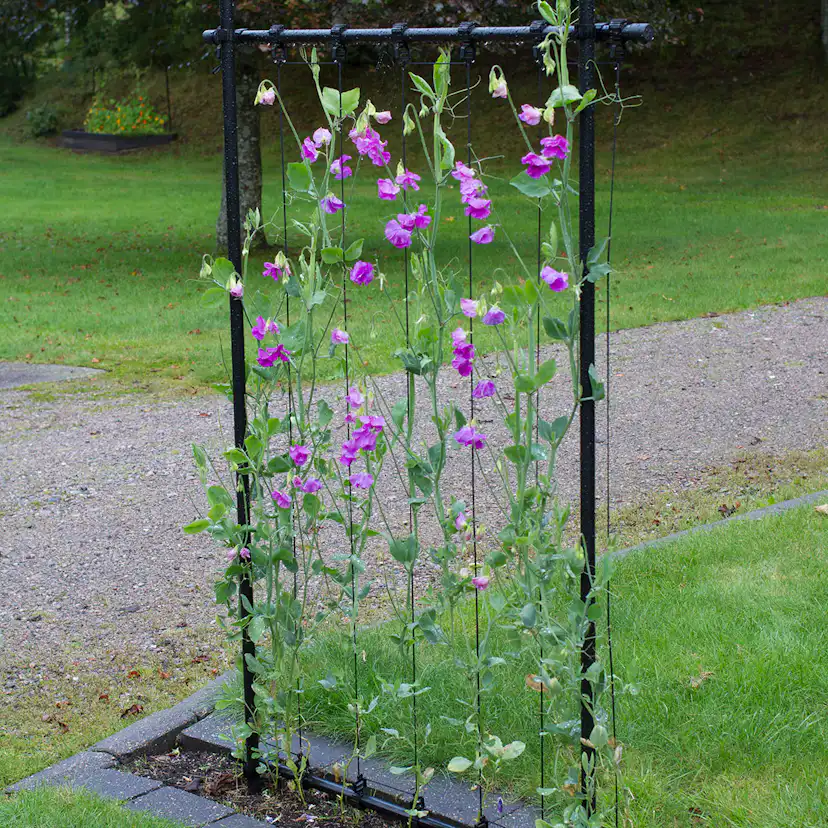 Ramspaljé Flexigarden