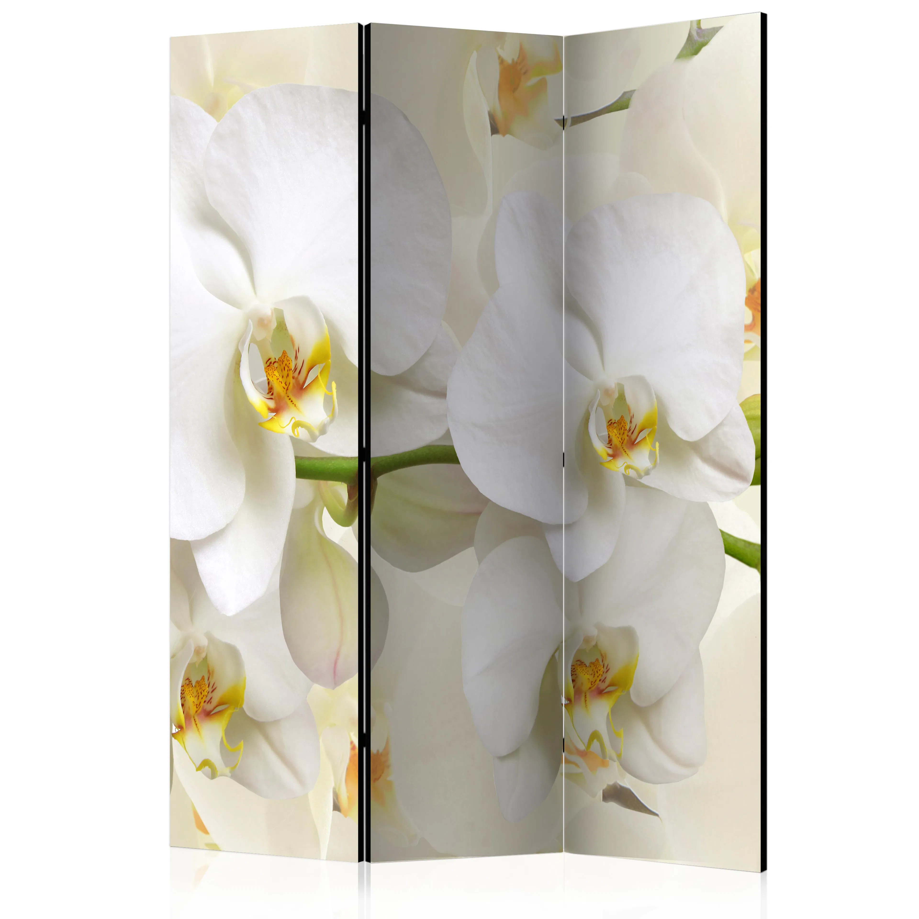 Rumsavdelare Skärmvägg Arkiio Orchid Branch 135x172 cm