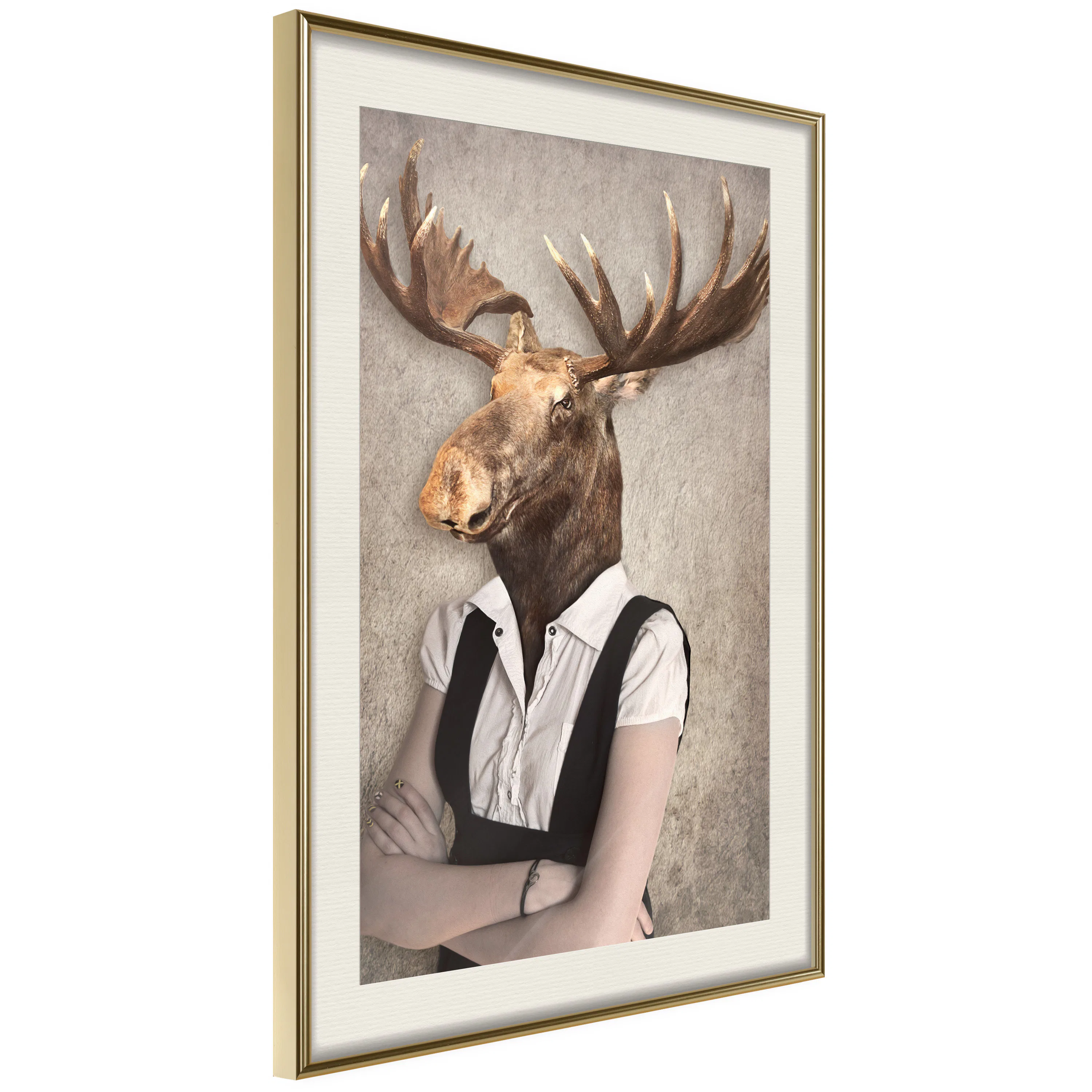 Poster Artgeist Affisch Brainy Moose