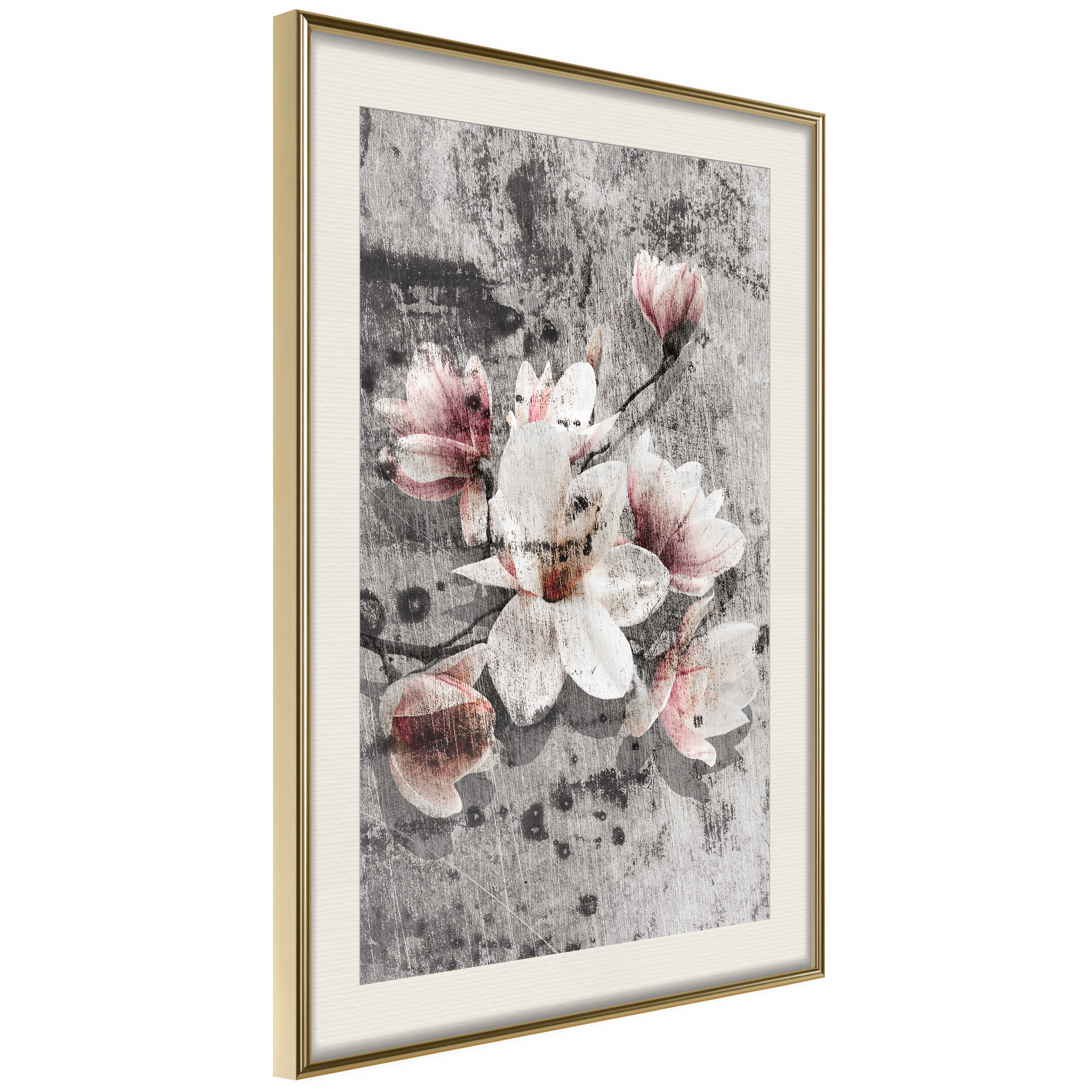 Affisch - Magnolias [Poster] 40x60 Guld ram med passepartout, 40x60 cm