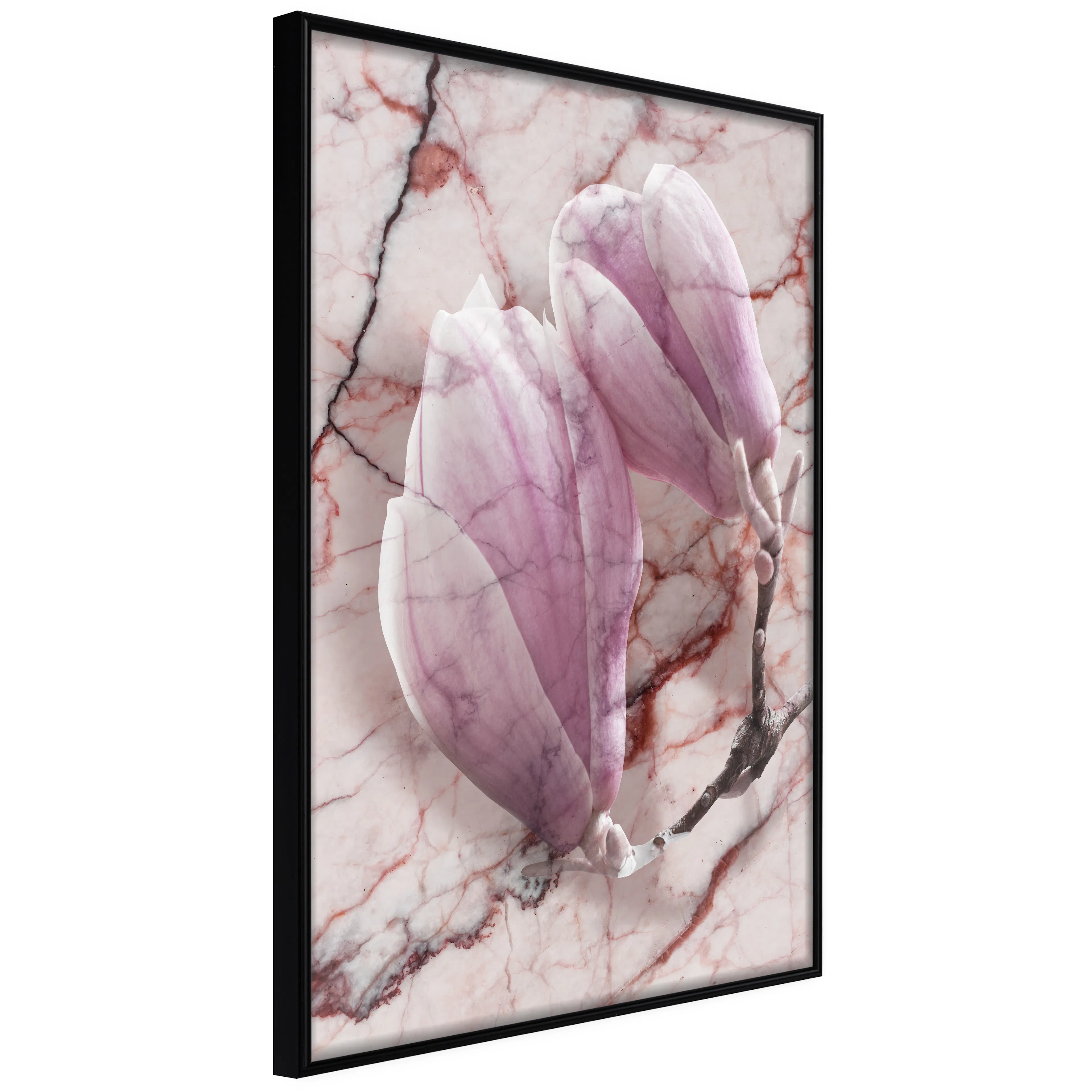 Affisch - Marble Magnolia [Poster] 20x30 Svart ram, 20x30 cm