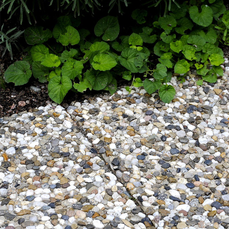 Frilagd platta S:t Eriks Dansk Sjösten