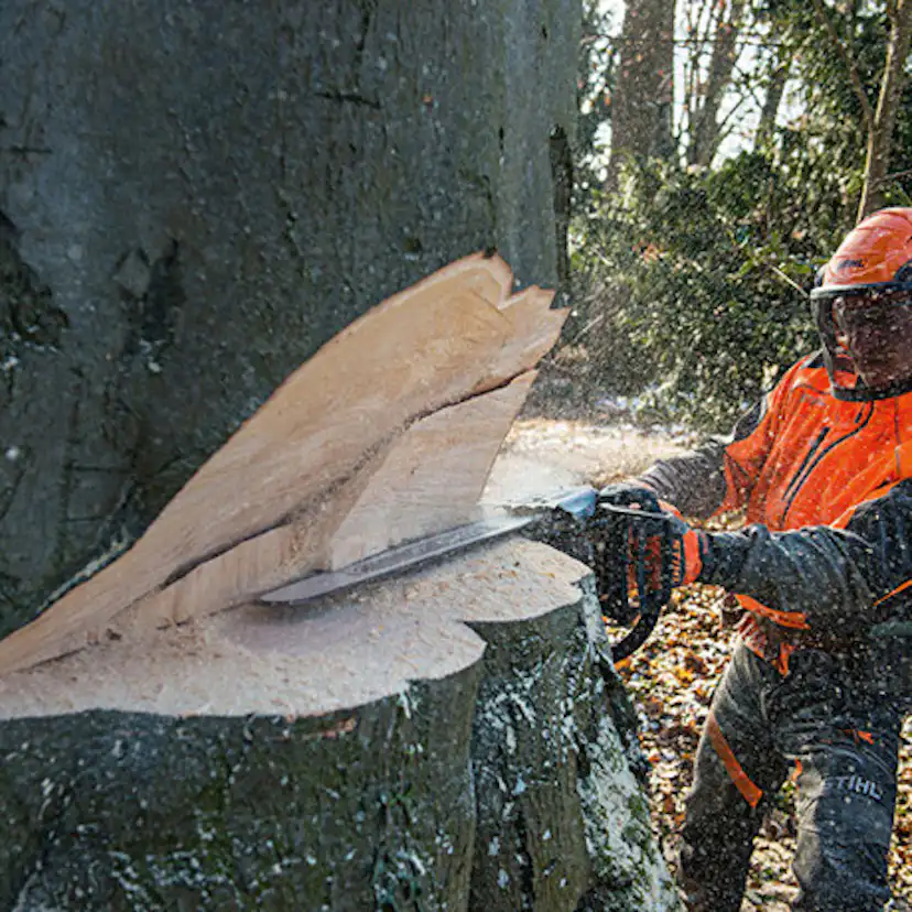 Motorsåg STIHL MS 661 C-M