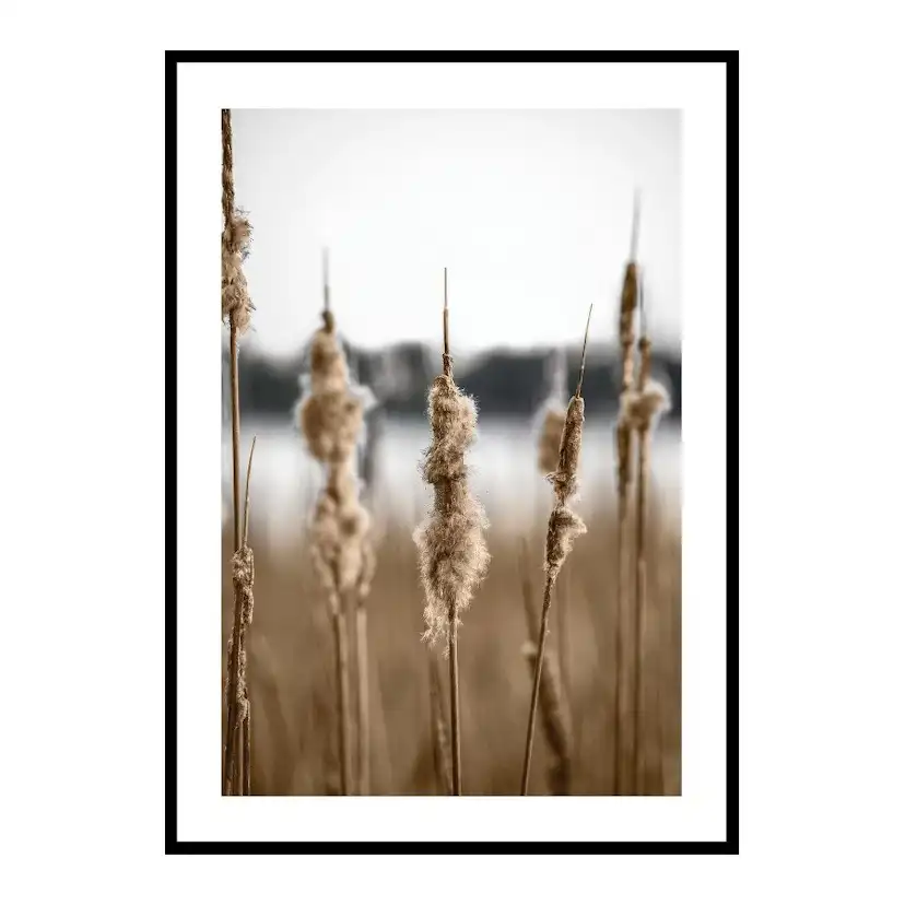 Poster Gallerix Waterfront Reeds