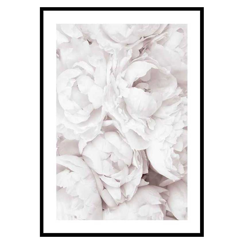 Poster Gallerix Bright Pink Roses No3