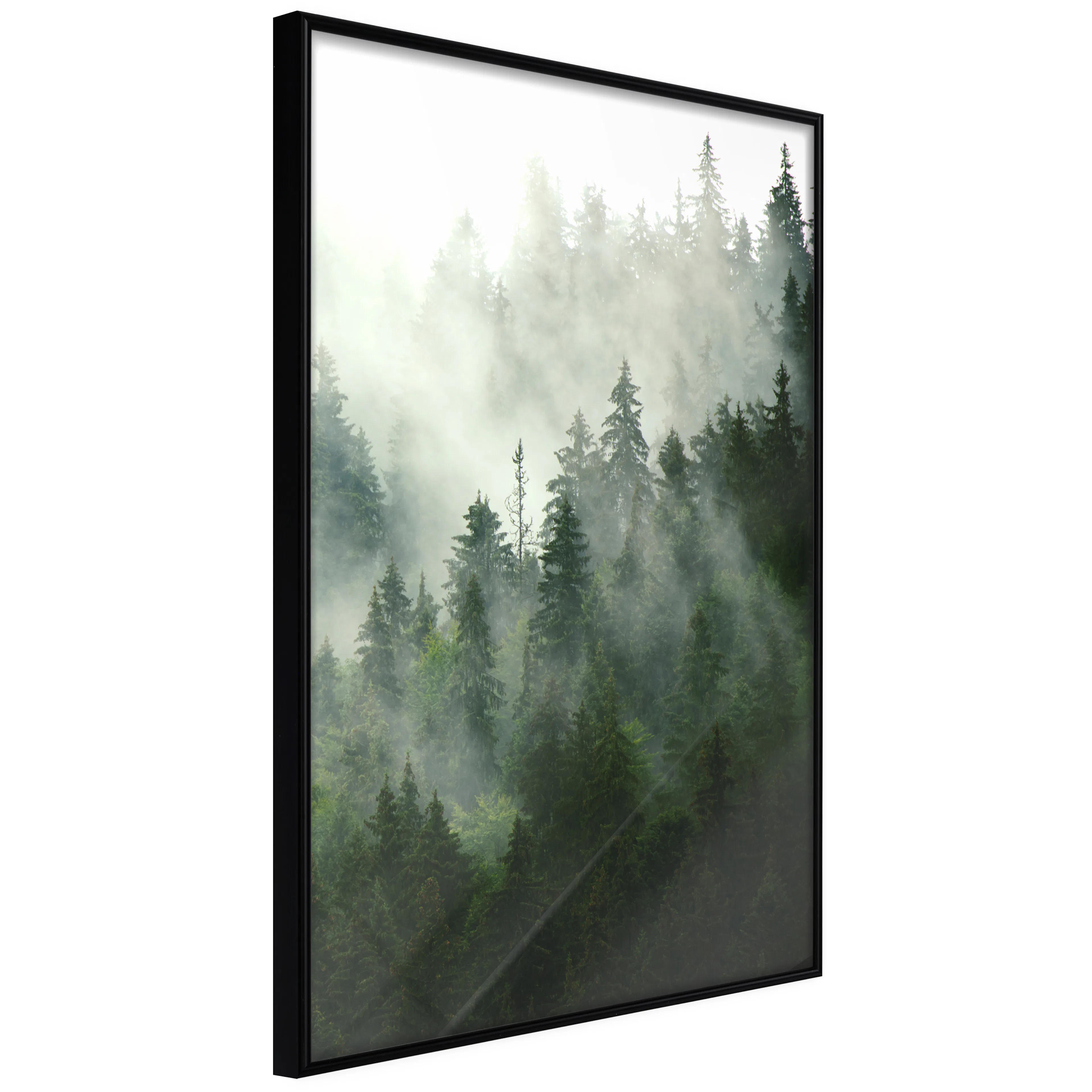 Affisch - Coniferous Forest [Poster] 20x30 Svart ram, 20x30 cm