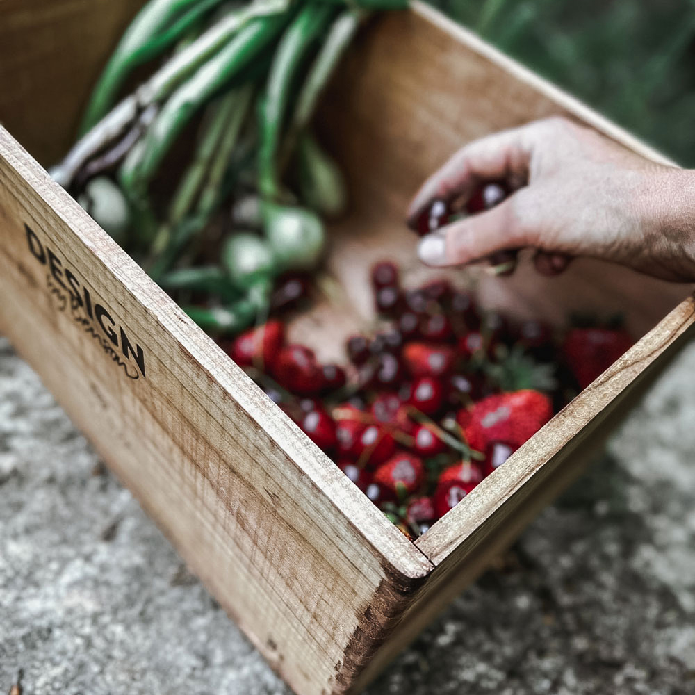 Odlingslåda by Benson