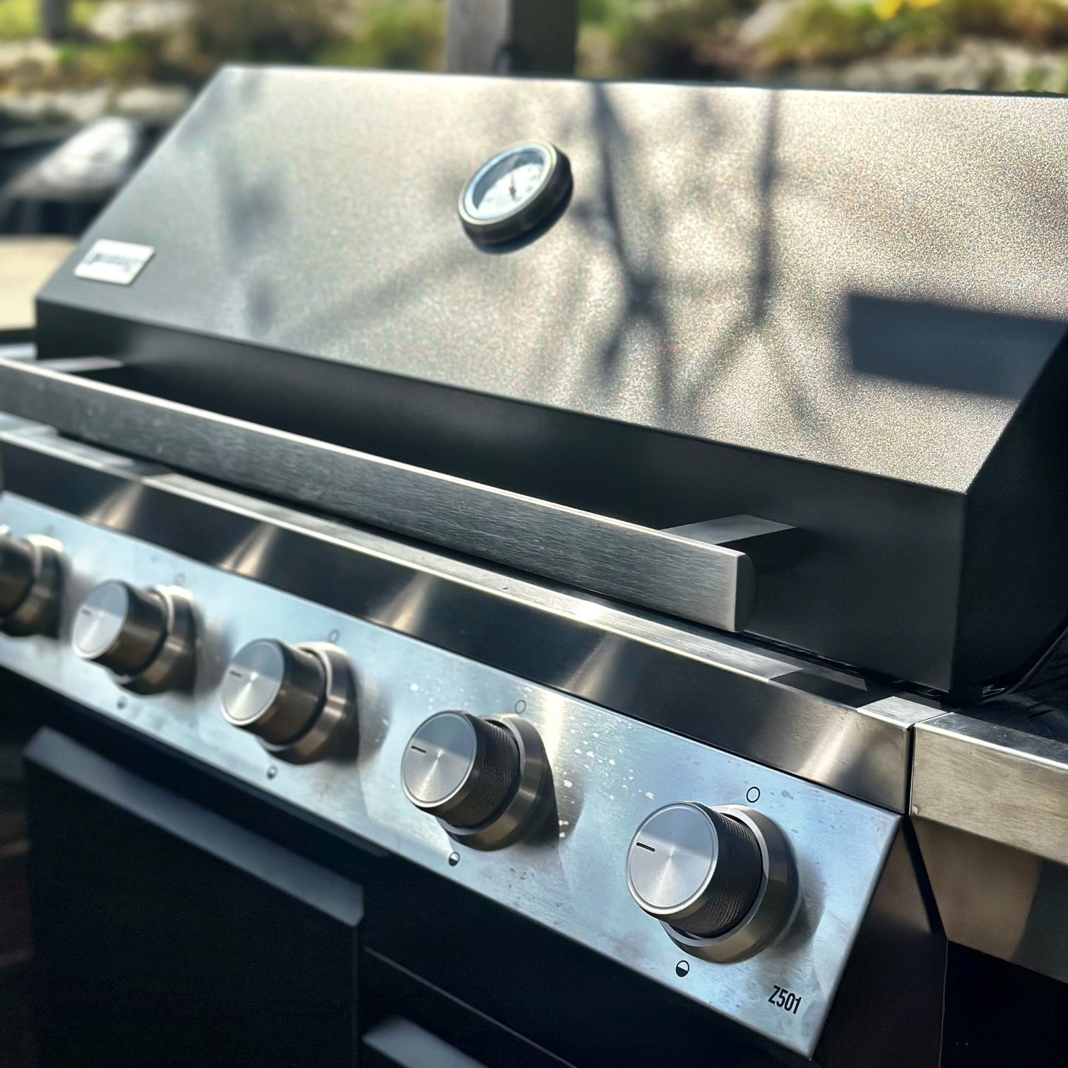 Gasolgrill Bluegaz Z501