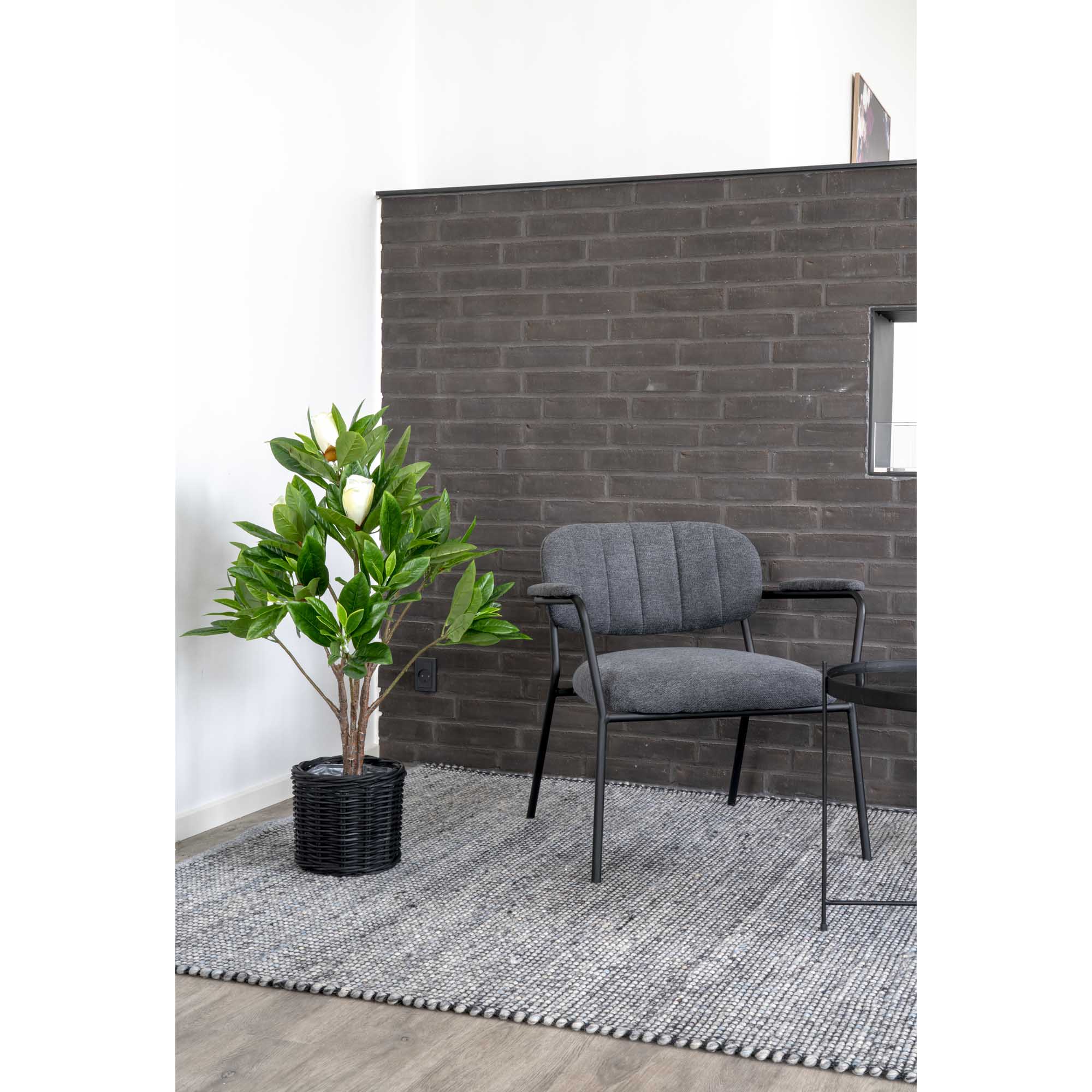 Konstväxt House Nordic Magnolia