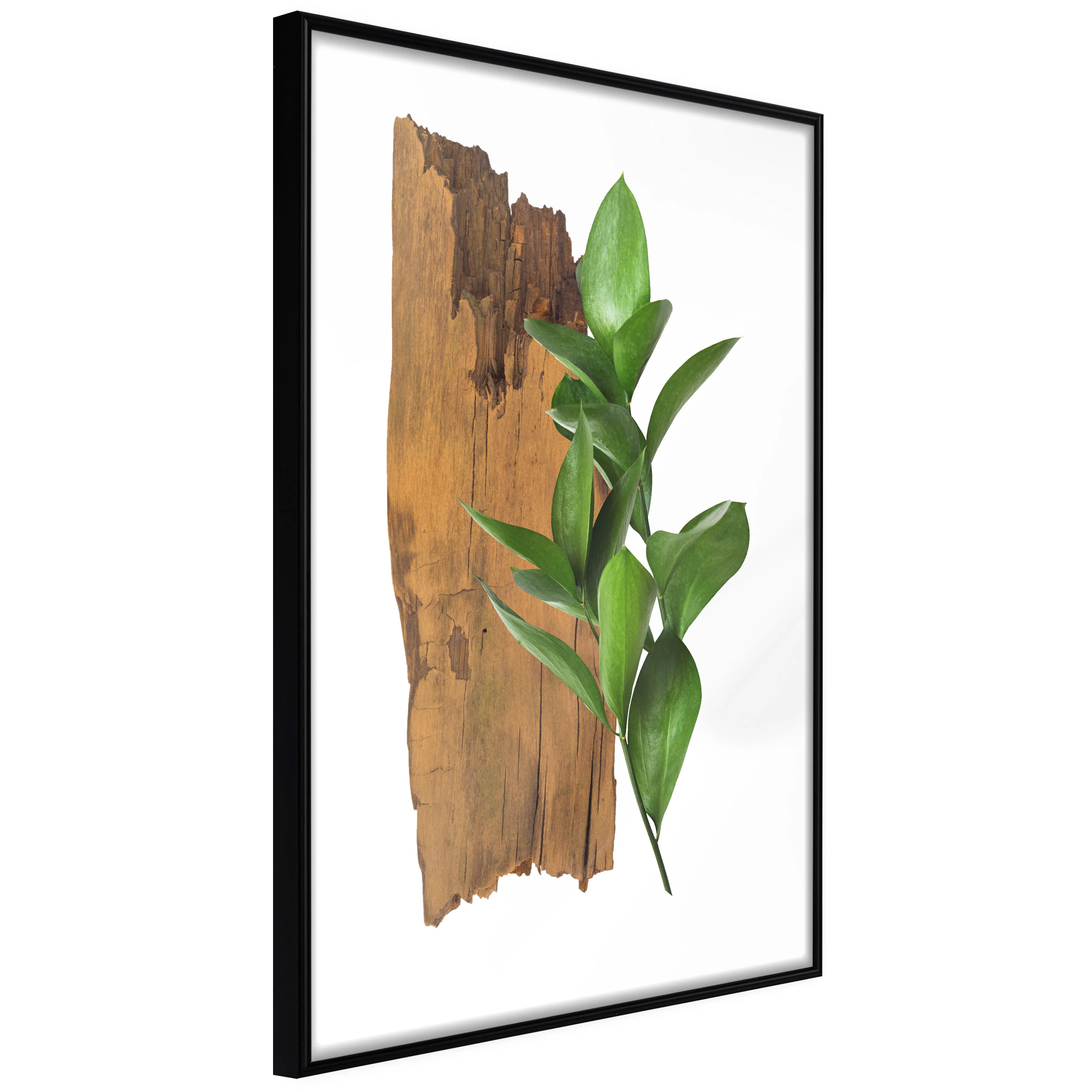 Affisch - Fascinating Nature [Poster] 20x30 Svart ram, 20x30 cm