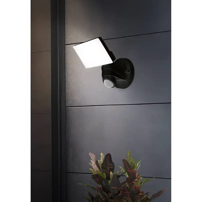 Väggstrålkastare Utebelysning Eglo Pagino med Sensor