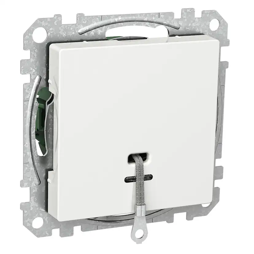 Dragströmbrytare Schneider Electric Exxact