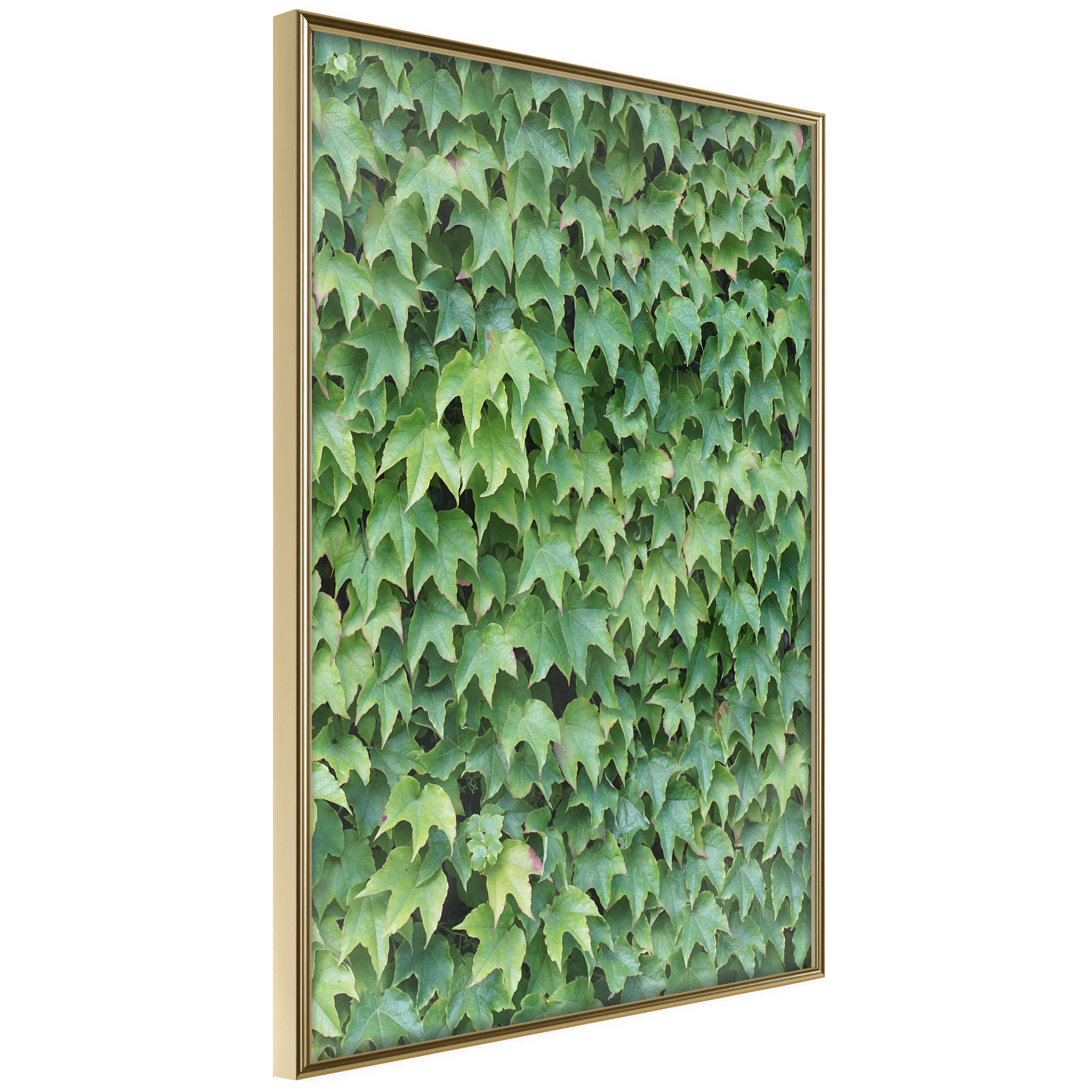Poster Artgeist Affisch Thick Ivy