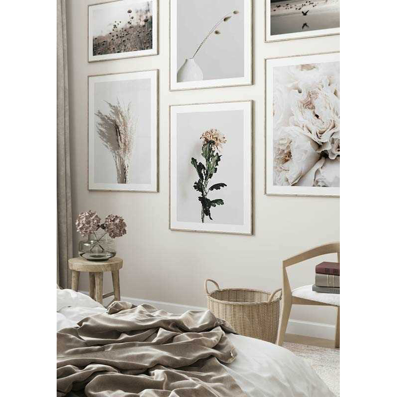 Poster Gallerix Chrysanthemum No1