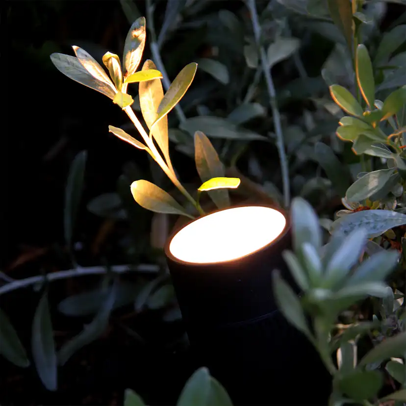 Markspot LightsOn Medusa, Svart