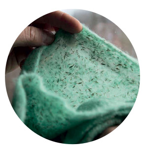 Trädgårdblommor Turfquick Blomfröer Blomsteräng Turfquick Fjäril & Humla 5 kvm