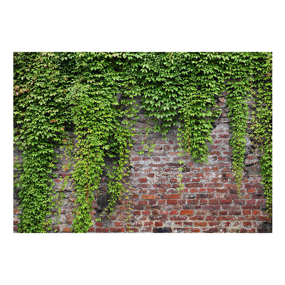 Fototapet Arkiio Brick And Ivy
