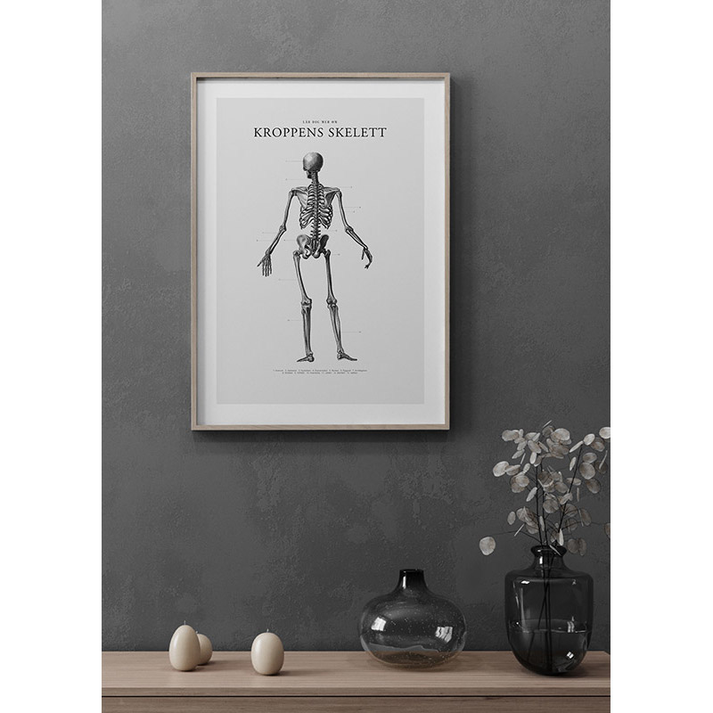 Poster Gallerix Kroppens Skelett