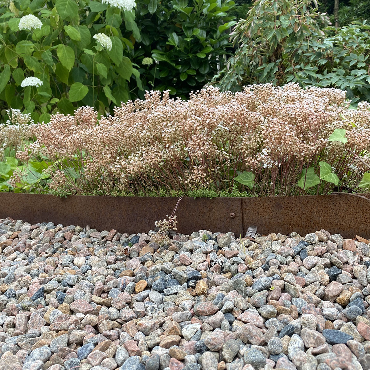 Planteringskant Flexigarden Corten 180 mm Rak