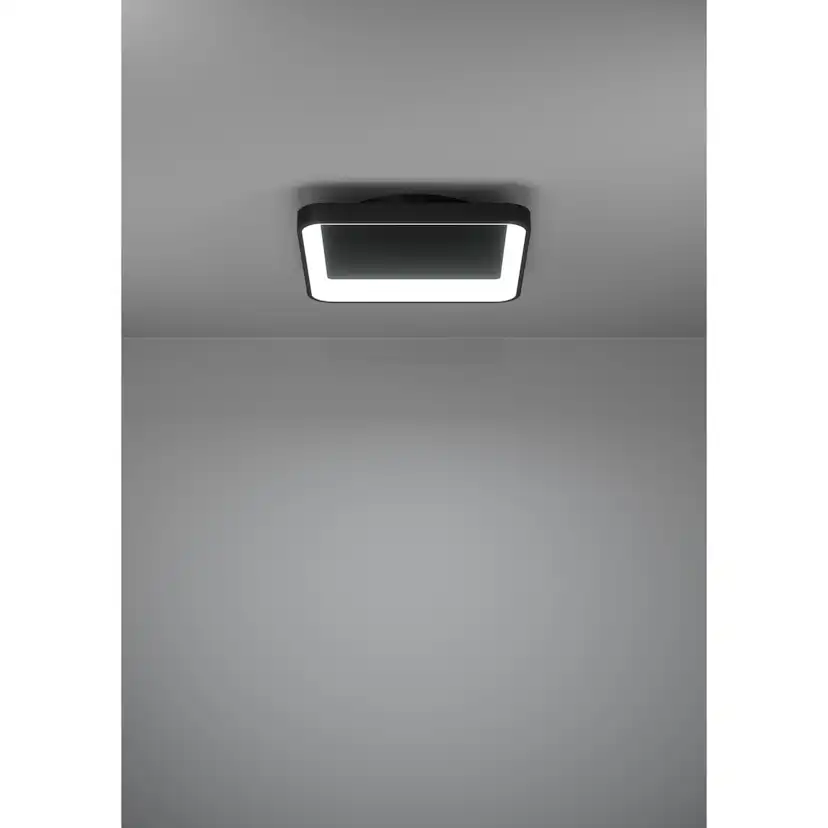 Vägg-/Taklampa Eglo Loretello
