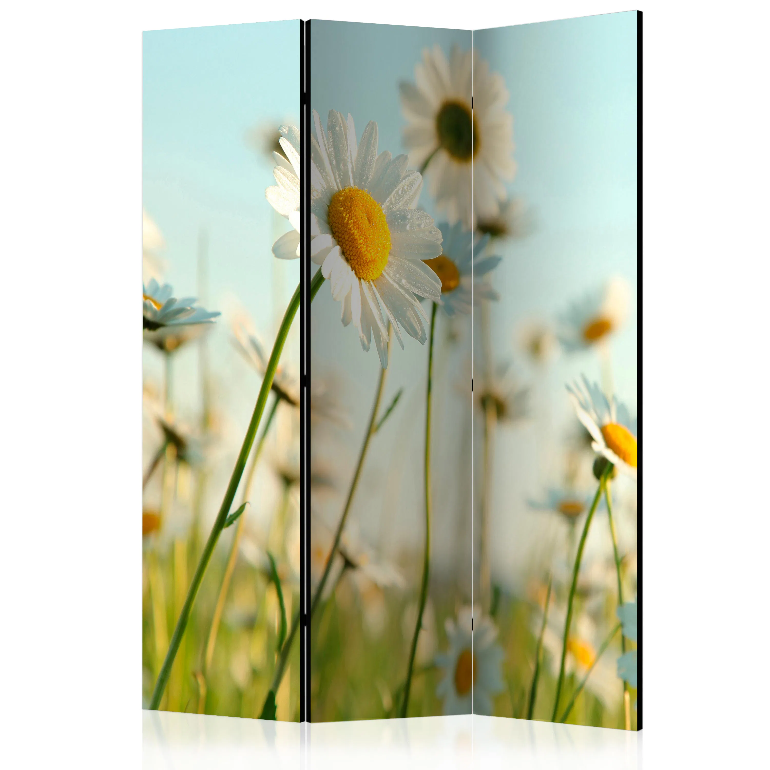 Rumsavdelare Skärmvägg Arkiio Daisies Spring Meadow 135x172 cm