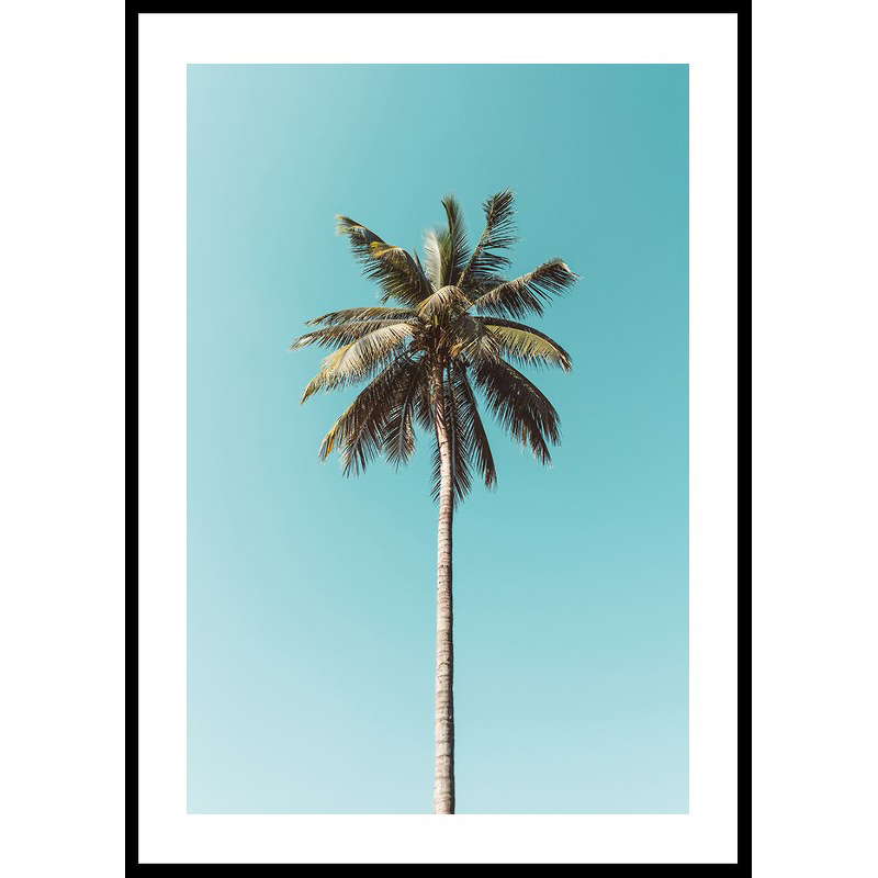 Poster Gallerix Palm Tranquility