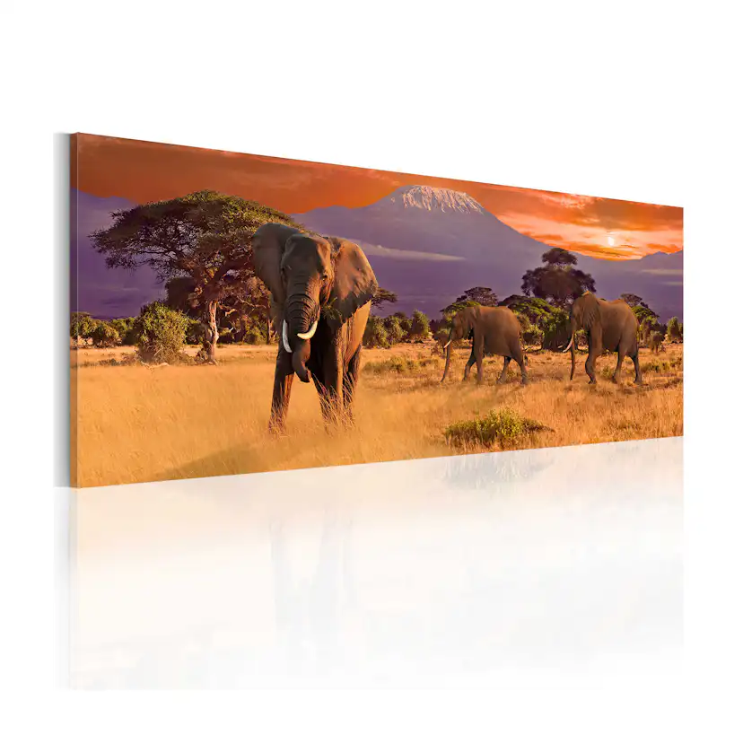 Tavla Arkiio March Of African Elephants