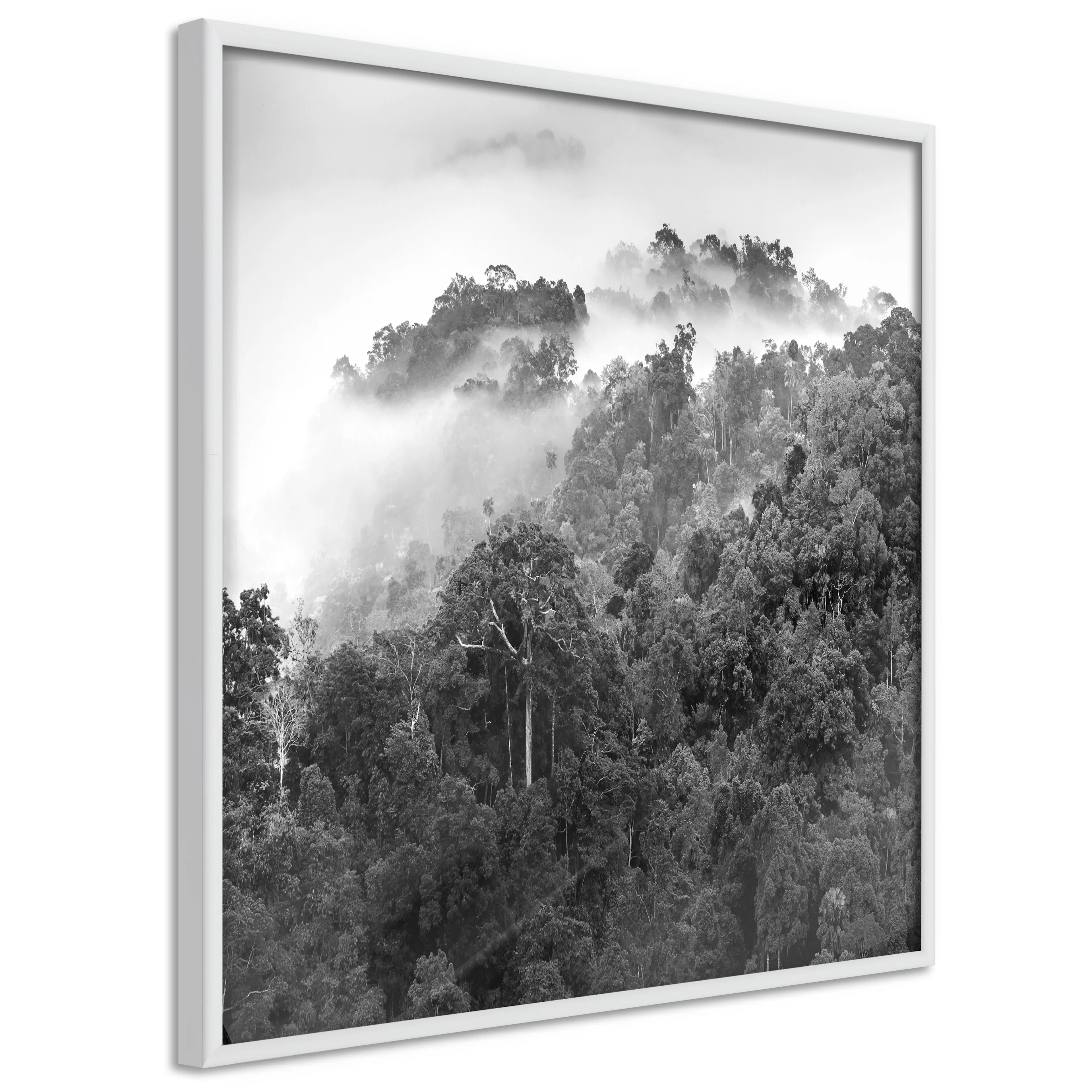 Poster Artgeist Affisch Rainforest