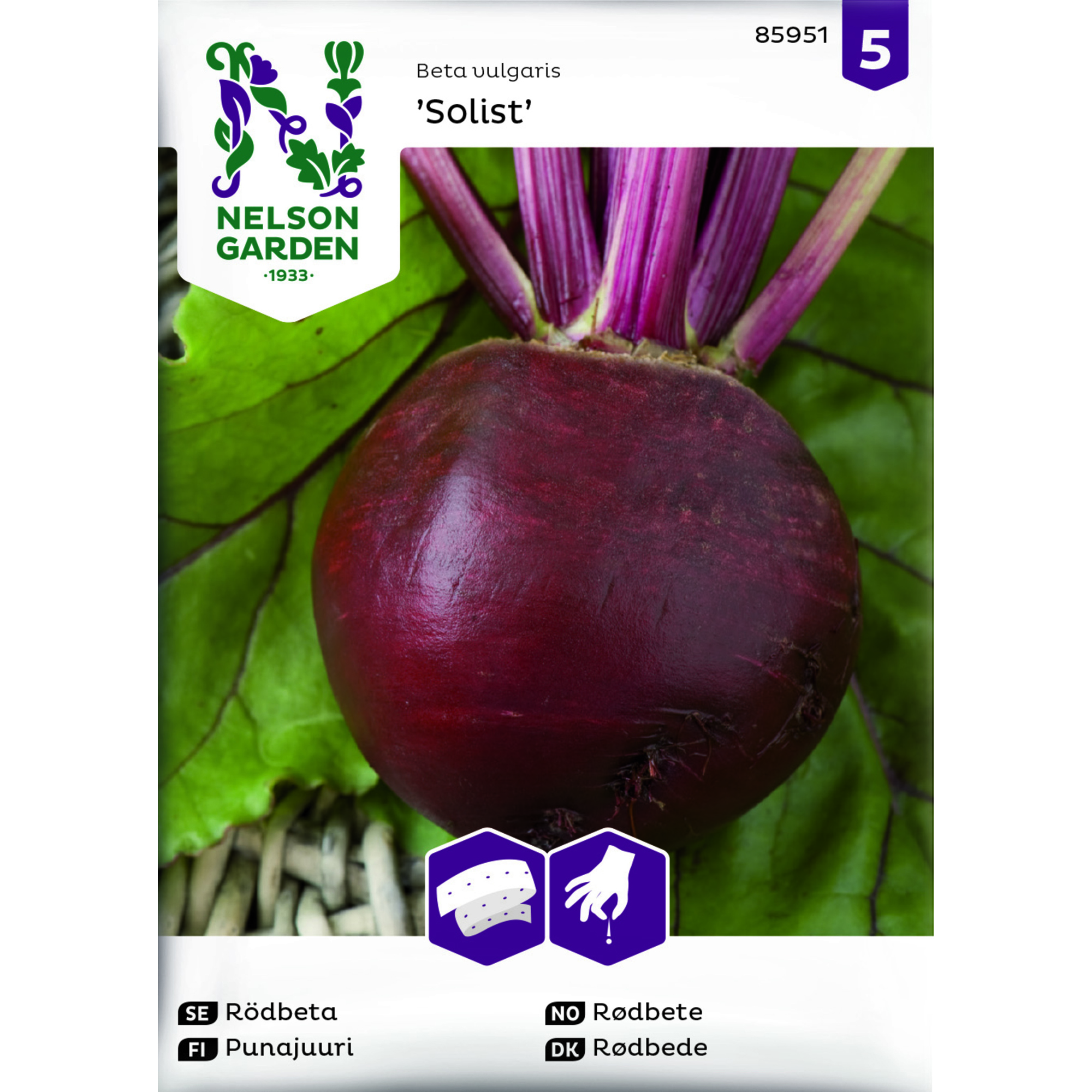 Frö Nelson Garden Rödbeta Solist Såband