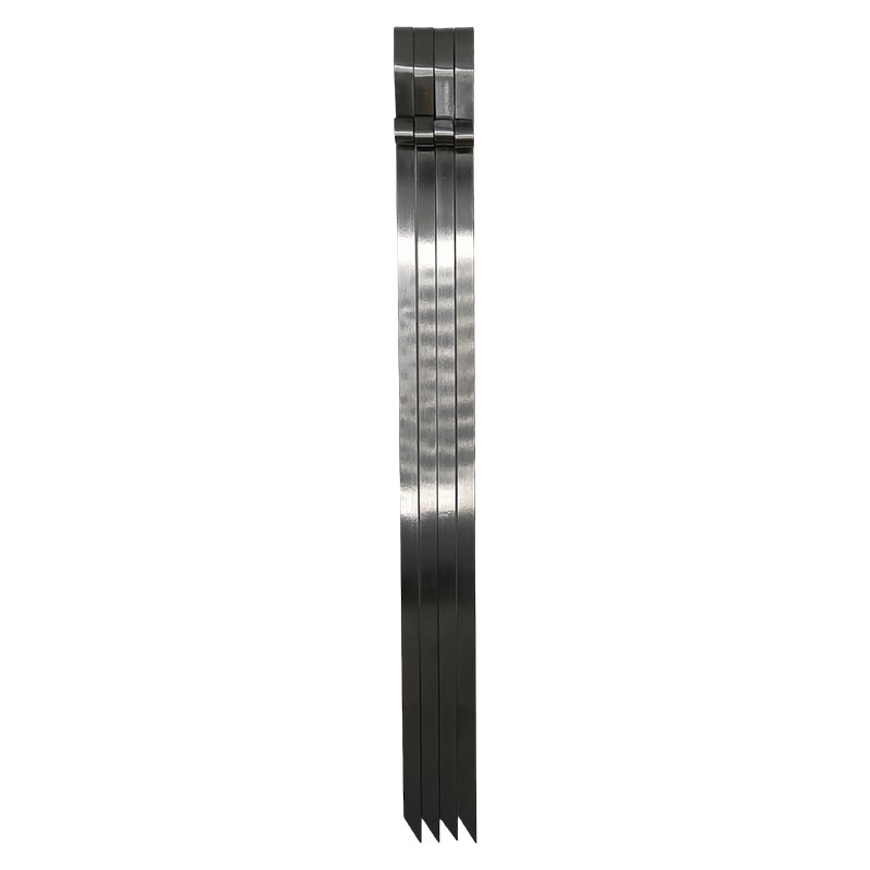 Grillspett Bluegaz 4-Pack