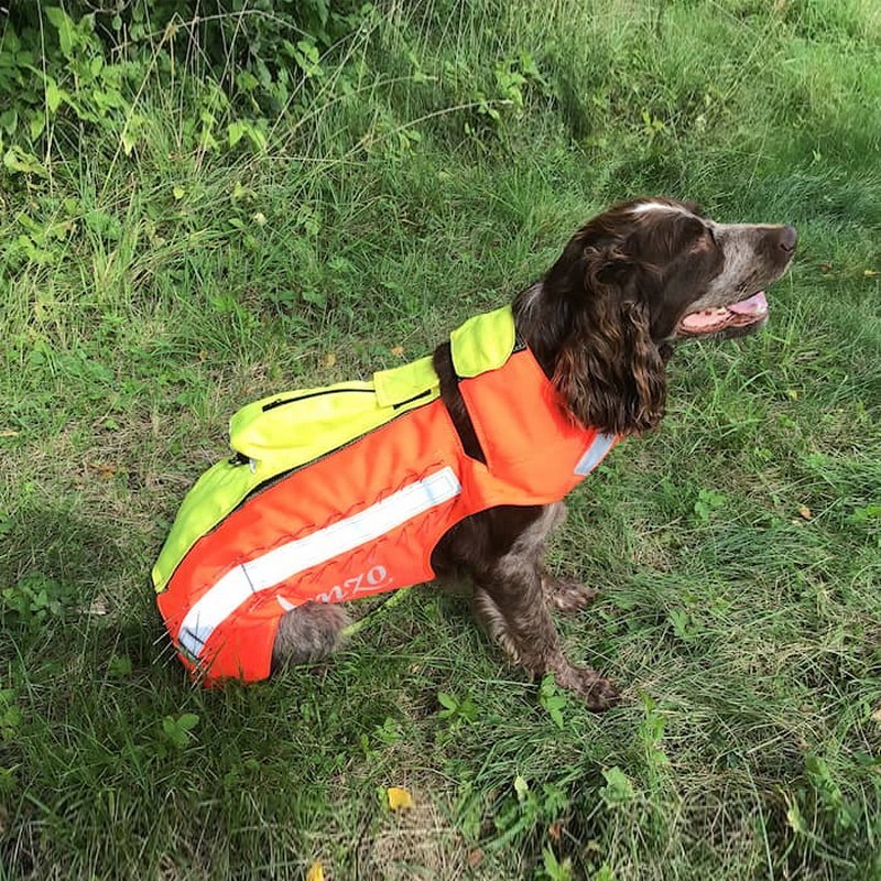 Skyddsväst Genzo Wild Boar för Hund
