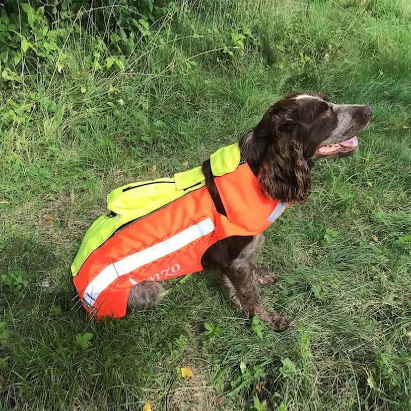Skyddsväst Genzo Wild Boar för Hund