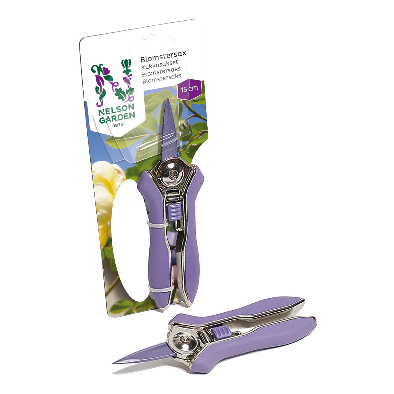 Blomstersax Nelson Garden 15 cm