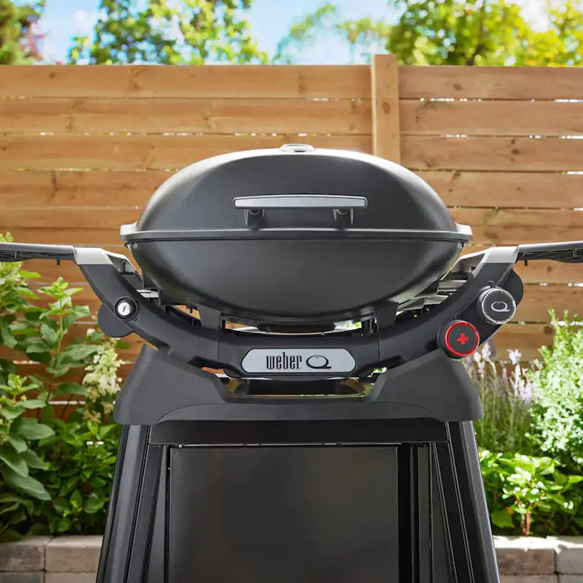 Gasolgrill Weber Q2800N+ Med Vagn