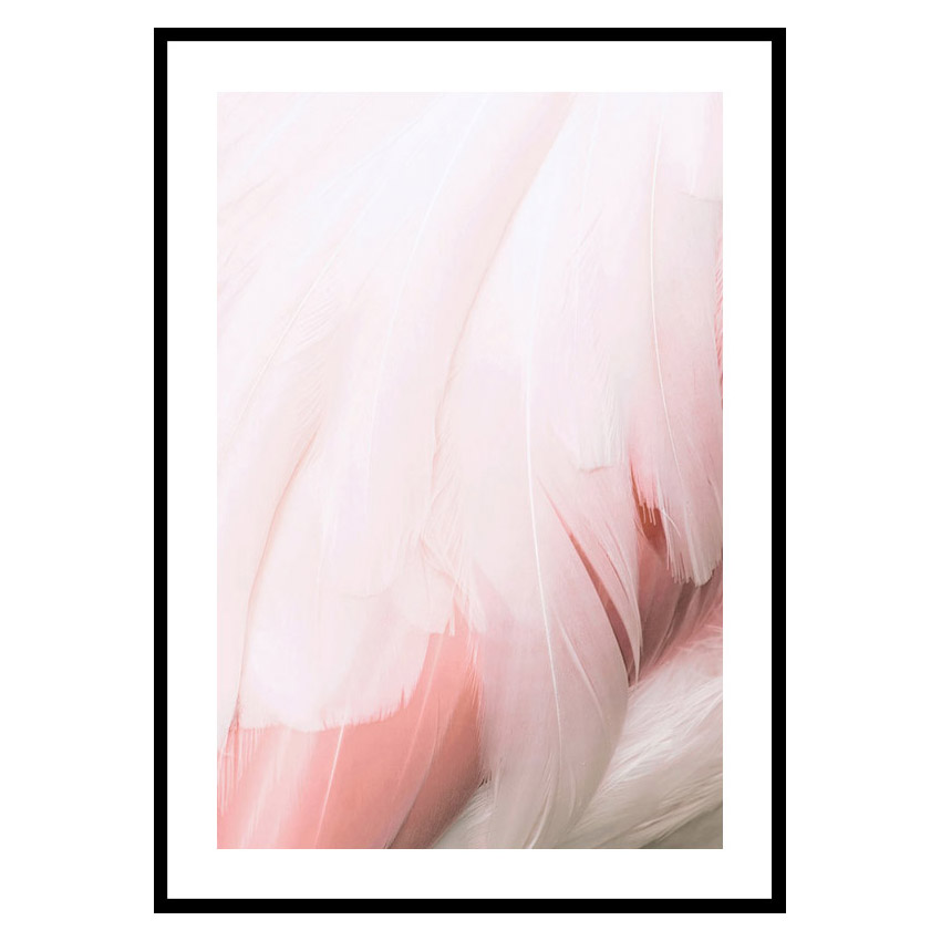 Poster Gallerix Flamingo Feathers