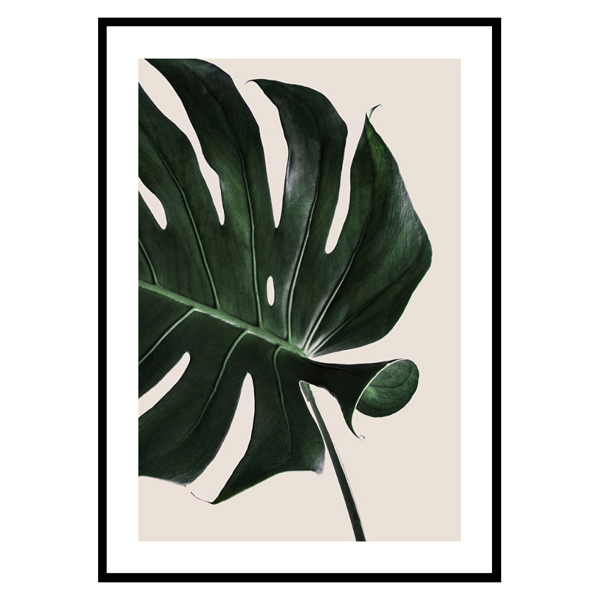Poster Gallerix Monstera Two