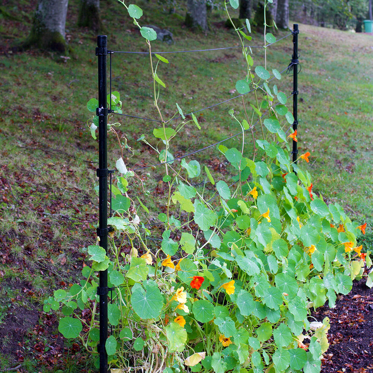TrådSpaljé Flexigarden