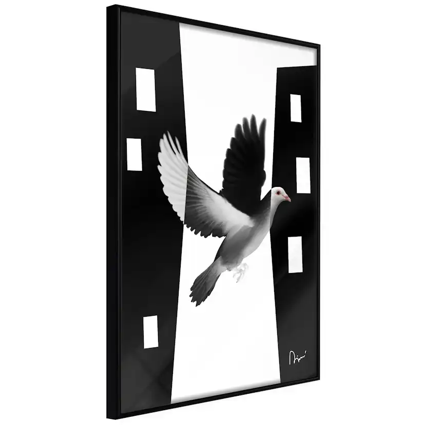 Poster Artgeist Affisch White Dove