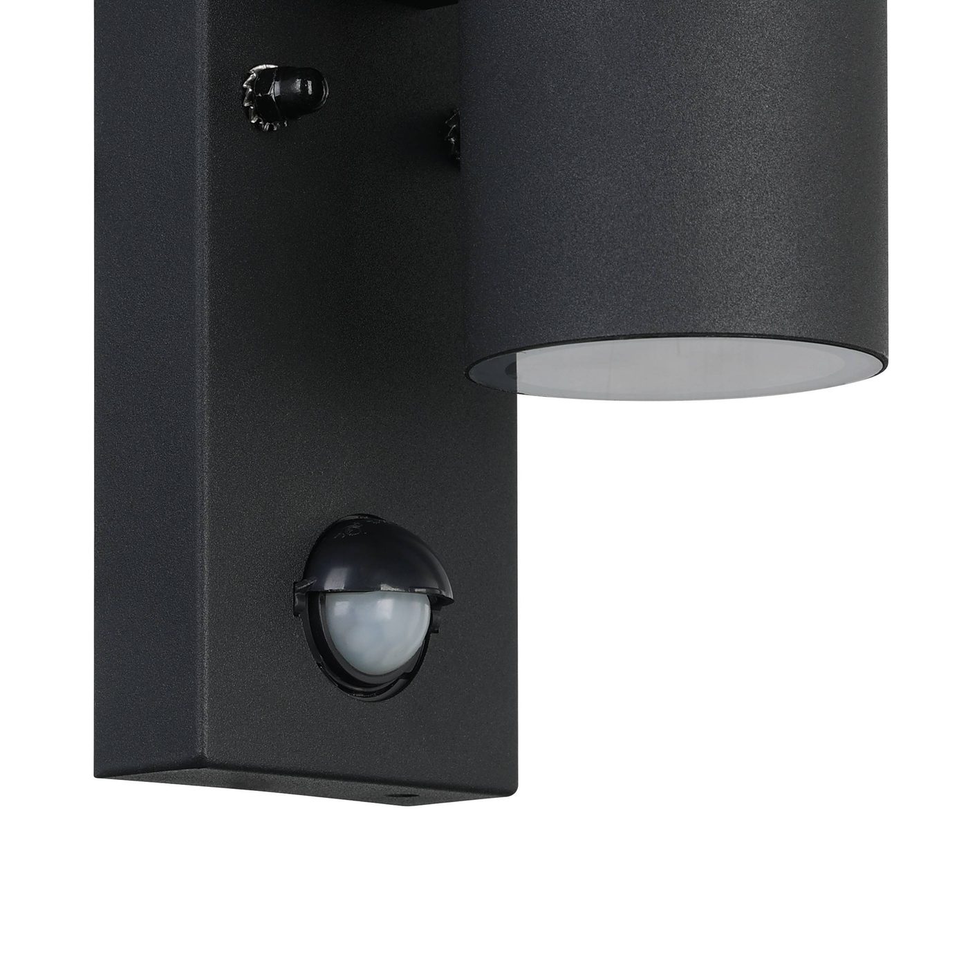 Vägglampa Utebelysning Eglo Riga 5 med Sensor Svart Klar
