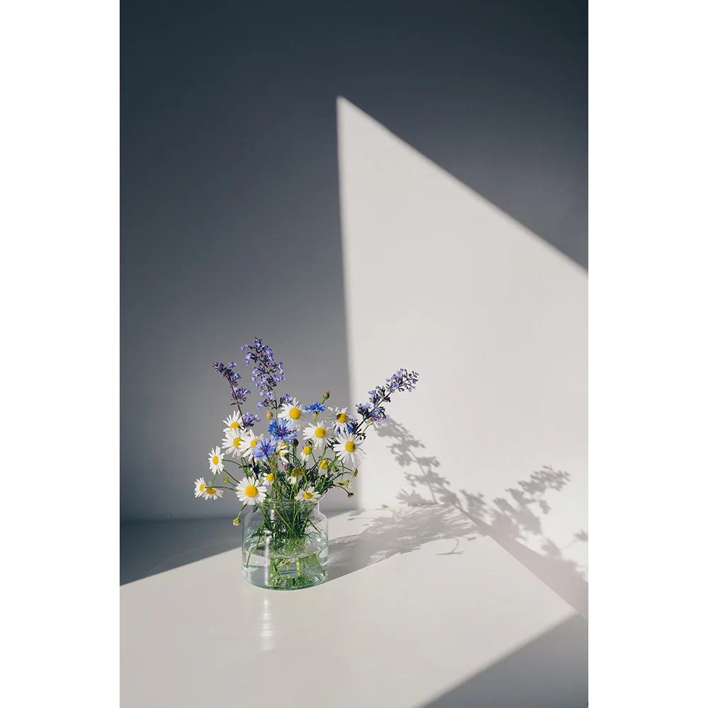 Posters Venture Home Flowers Vit