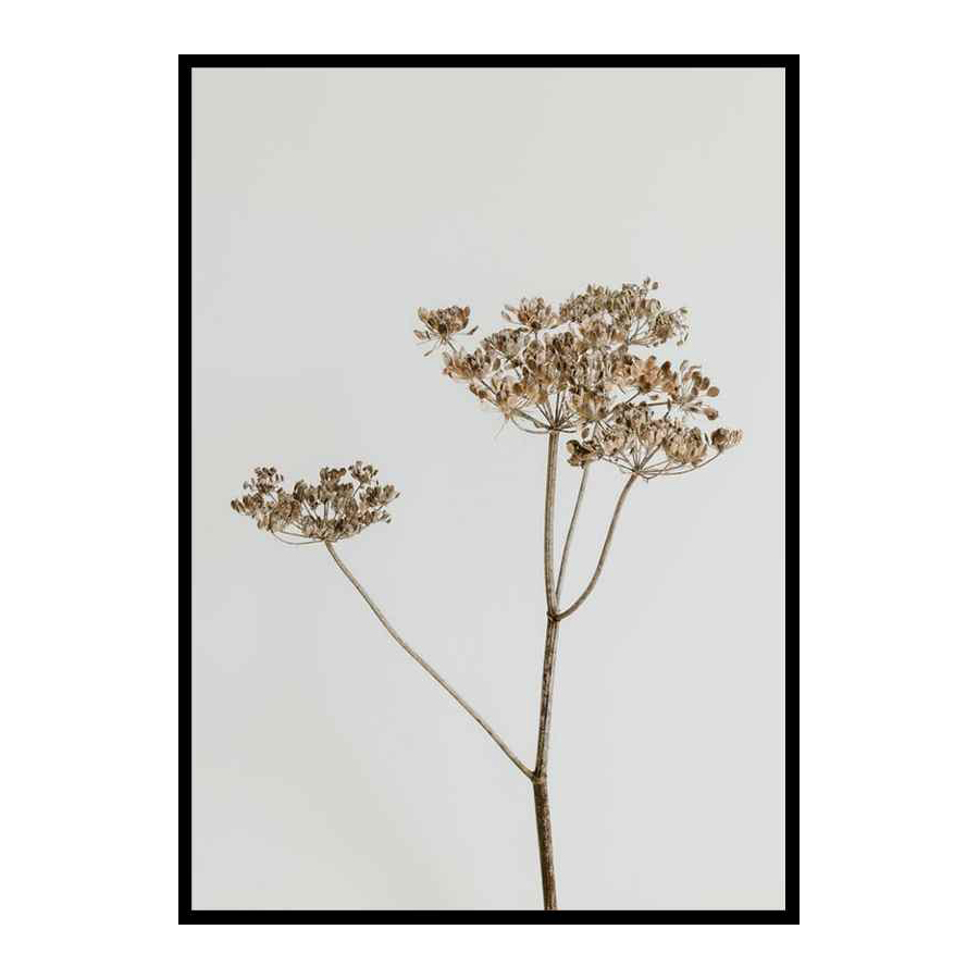 Poster Gallerix Single Dried Flower