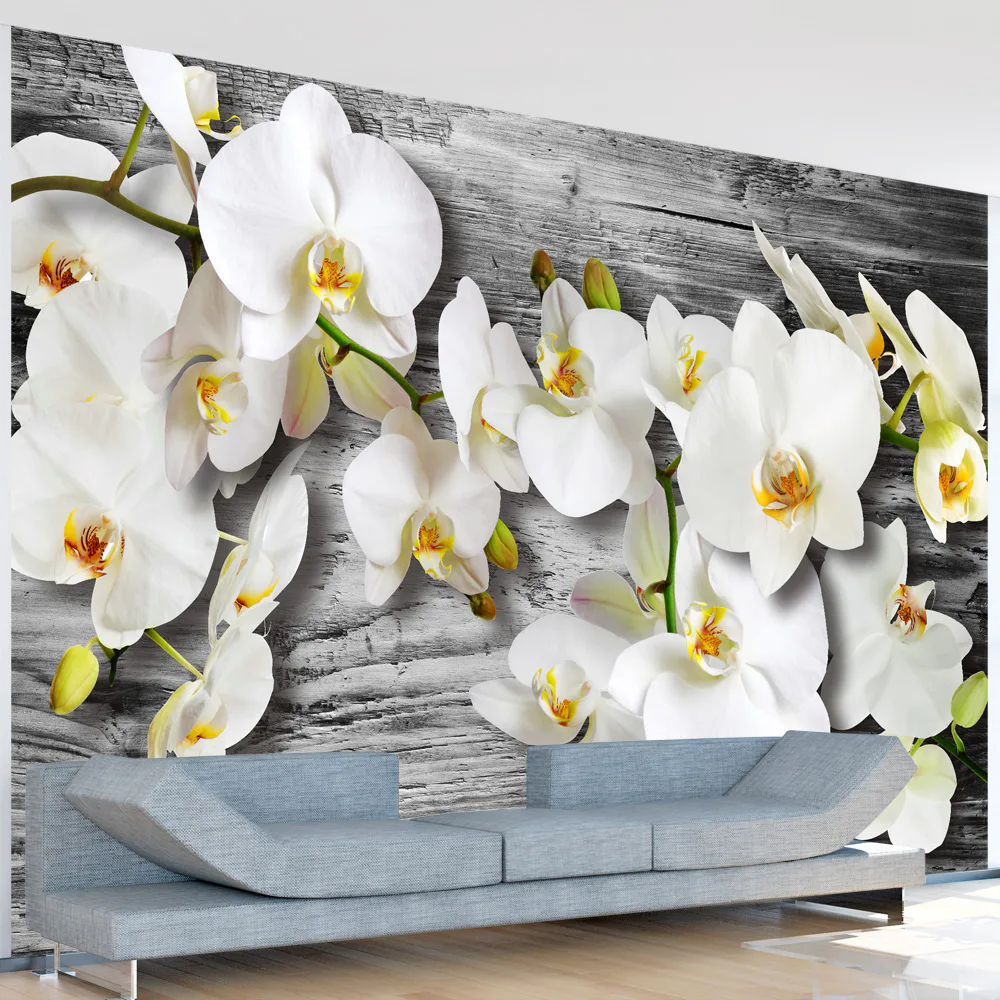 Fototapet Arkiio Callous Orchids III