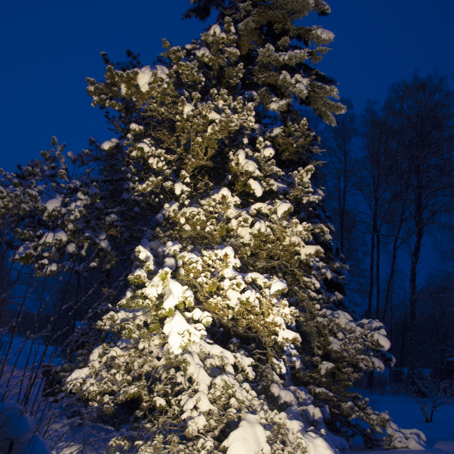 LED-lampa Star Trading E27 PAR38 Spotlight Outdoor Svart